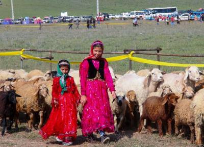 عشایر نگران تامین نهاده های دامی نباشند