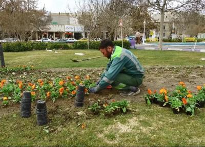 کاشت انواع گل های فصلی در میدان ارغوان شهر ایلام
