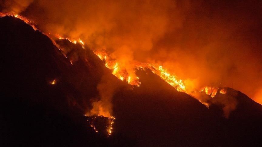 آتش سوزی گسترده در کانادا 10 هزار نفر را آواره کرد