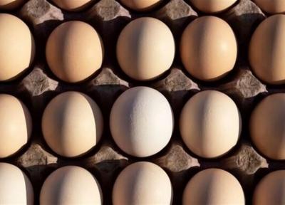 قول هایی که تو زرد از آب درآمد، تخم مرغ به شانه ای 48 هزار تومان پرکشید!