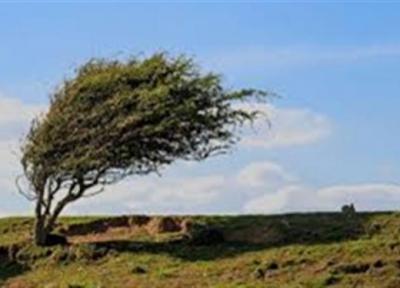 وزش باد شدید تا خیلی شدید در 24 استان