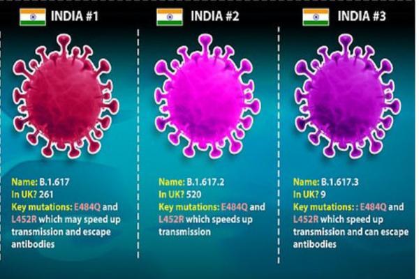 آشنایی بیشتر با ویروس هندی ، با 3 گونه جهش یافته هندی طرف هستیم