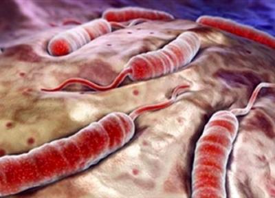 بیماری وبا در خوزستان بومی است